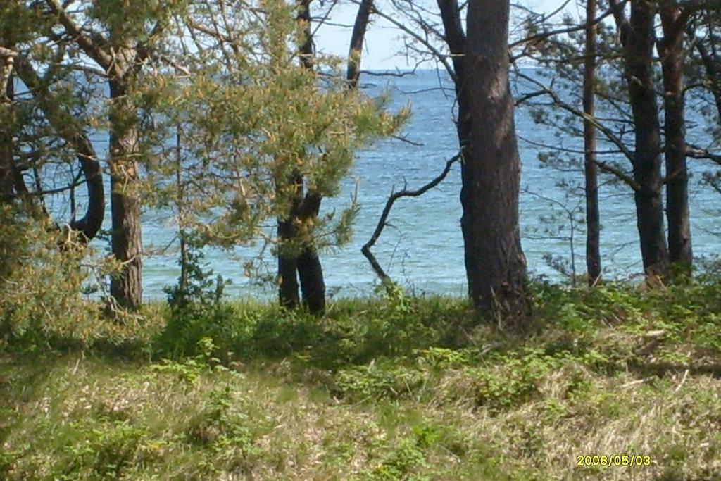 Apartment Mit Meeresblick Binz Pokój zdjęcie